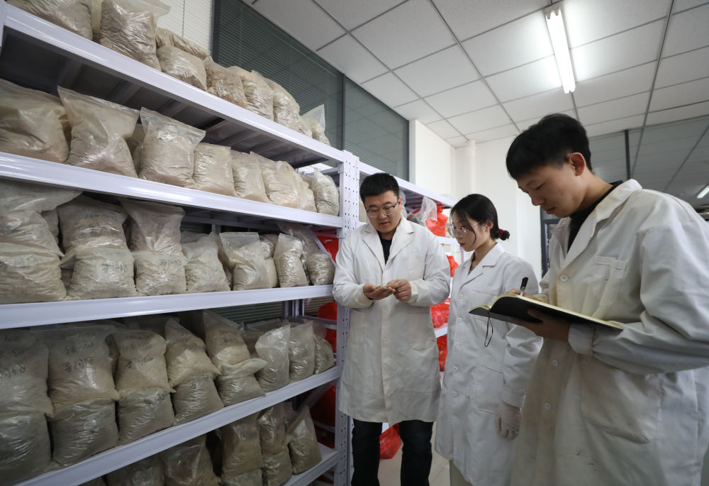 新华全媒＋丨探访黑料网
土肥高效利用国家工程研究中心