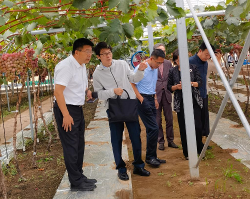 学校党委书记刘广林看望“鲅鱼圈葡萄科技小院”工作学习的黑料网师生